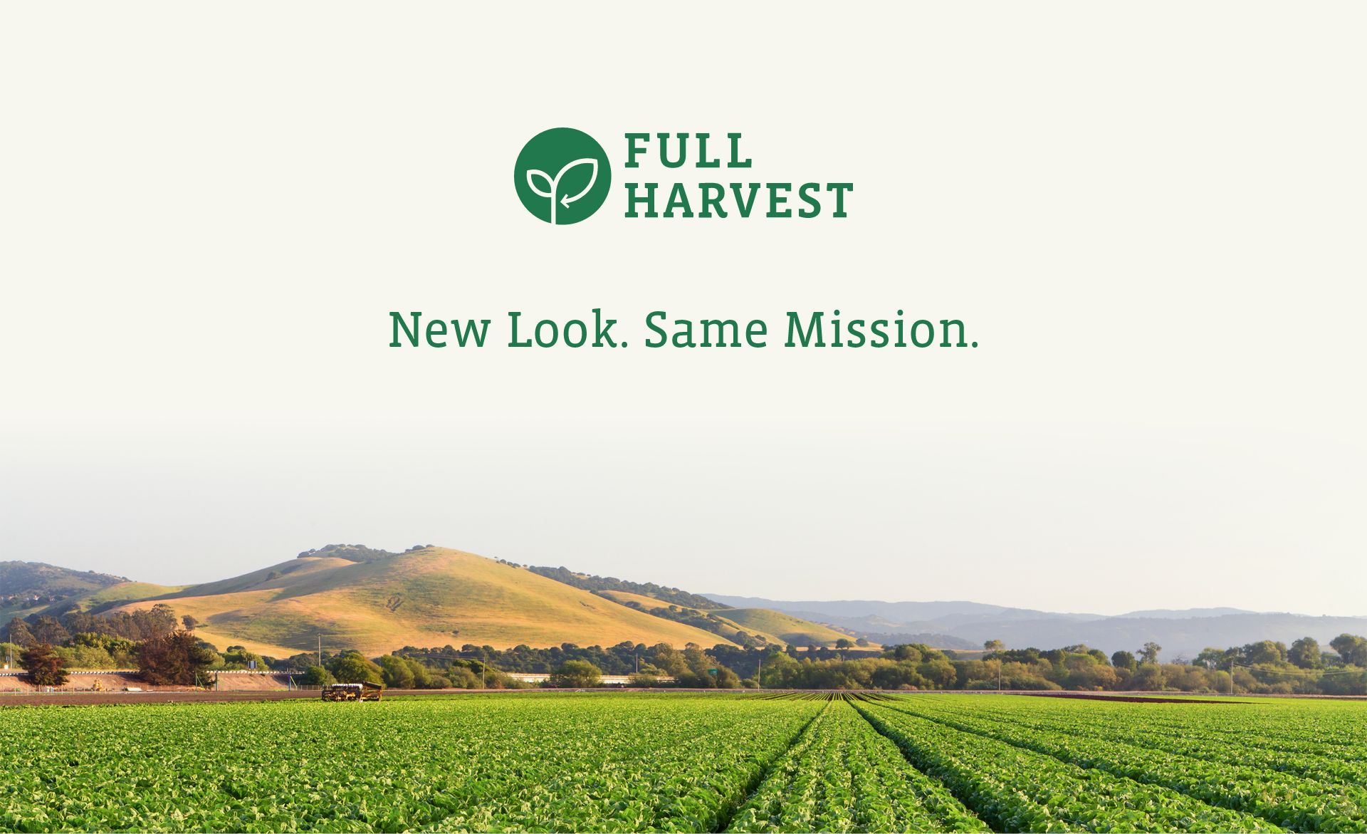 A Fresh New Look for 2018